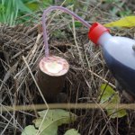 Trattamento e taglio, Parco Nazionale Alta Murgia 2014 (foto F. Casella)